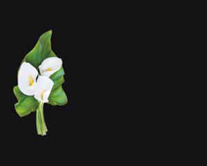 Lápida con Fotocerámica incrustada - 1341